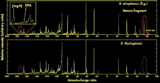 SPAM3.0单颗粒气溶胶质谱仪价格|型号 _气溶胶粒径谱仪原理