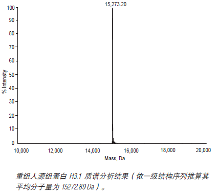 重组人源组蛋白 H3.1--NEB