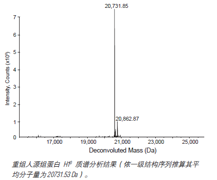 重组人源组蛋白 H10--NEB