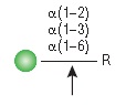 α1-2,3,6 甘露糖苷酶--NEB