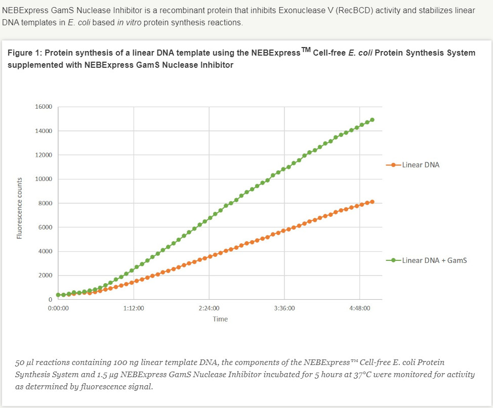 NEBExpress™GamS Nuclease Inhibitor--NEB