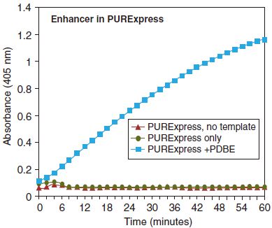 E. coli 核糖体--NEB