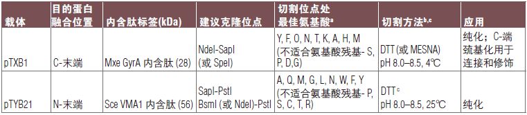 抗 CBD 单克隆抗体--NEB