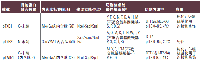 IMPACT™ 试剂盒--NEB