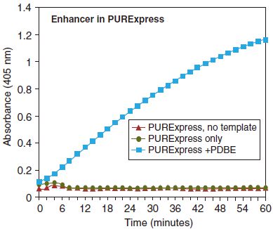 PURExpress 二硫键增强剂--NEB