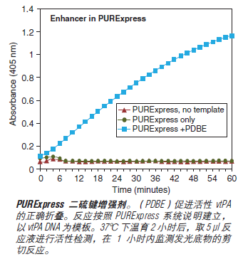 PURExpress® 体外蛋白合成试剂盒--NEB