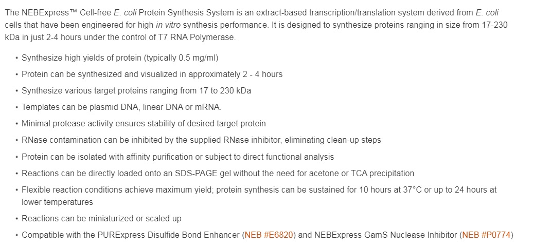 NEBExpress™ Cell-free E. coli Protein Synthesis System--NEB
