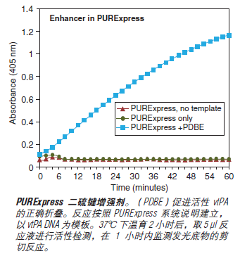 PURExpress Δ Ribosome 试剂盒--NEB