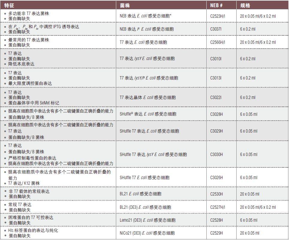 表达菌株感受态细胞选择图表--NEB