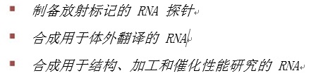 Hi-T7 耐热 RNA 聚合酶--NEB