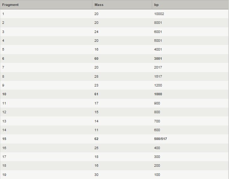 1 kb Plus DNA Ladder，用于安全染料凝胶--NEB
