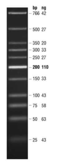 Quick-Load 紫色 低分子量 DNA Ladder--NEB