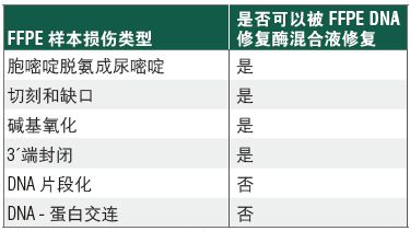 NEBNext FFPE DNA 修复混合液--NEB