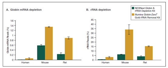 NEBNext Globin & rRNA 去除试剂盒（人/小鼠/大鼠）- 含 RNA 纯化磁珠--NEB