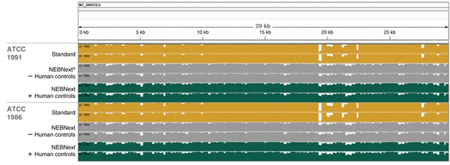 NEBNext®ARTIC SARS-CoV-2 FS 文库制备试剂盒（适用于 Illumina 平台）--NEB