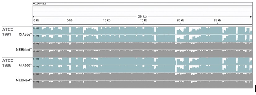 NEBNext®ARTIC SARS-CoV-2 FS 文库制备试剂盒（适用于 Illumina 平台）--NEB
