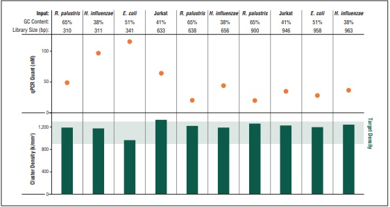 NEBNext® 文库定量试剂盒--NEB