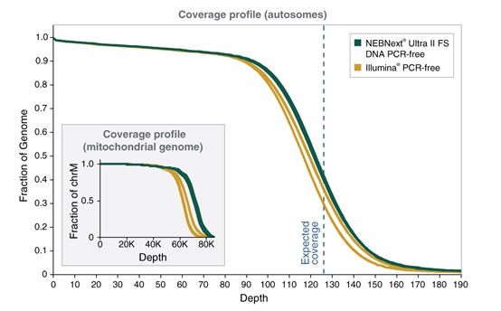 NEBNext® Ultra™ II FS DNA PCR-free 文库制备试剂盒 - 含片段化酶（含纯化磁珠）--NEB