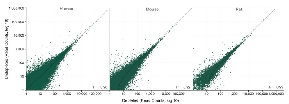 NEBNext® rRNA 去除试剂盒 v2（人/小鼠/大鼠）- 含 RNA 纯化磁珠--NEB