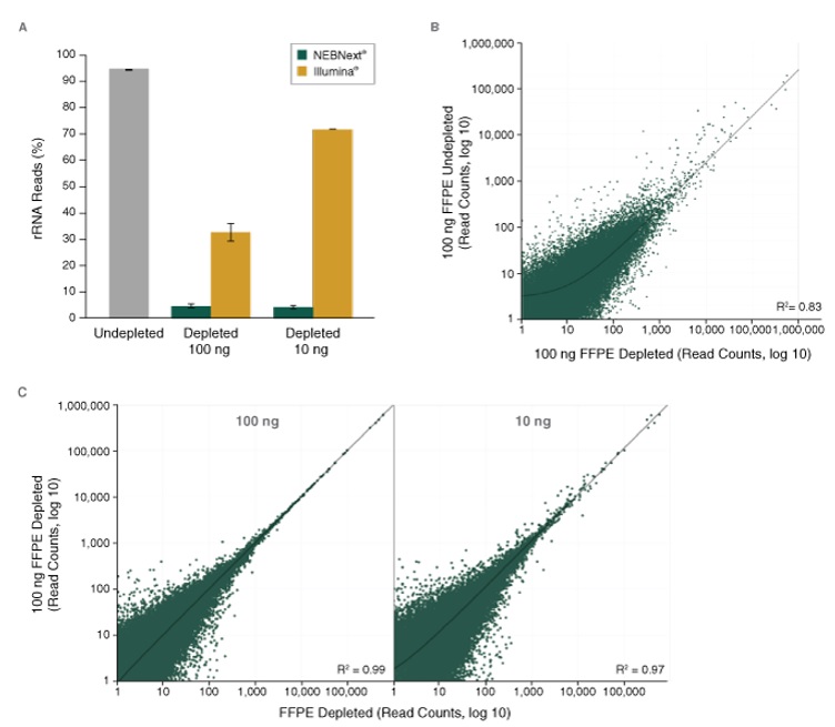 NEBNext® rRNA 去除试剂盒 v2（人/小鼠/大鼠）- 含 RNA 纯化磁珠--NEB