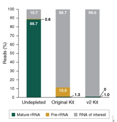NEBNext® rRNA 去除试剂盒 v2（人/小鼠/大鼠）- 含 RNA 纯化磁珠--NEB