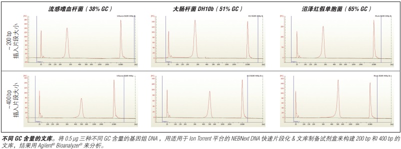 NEBNext DNA 快速片段化 & 文库制备试剂盒-Ion Torrent--NEB