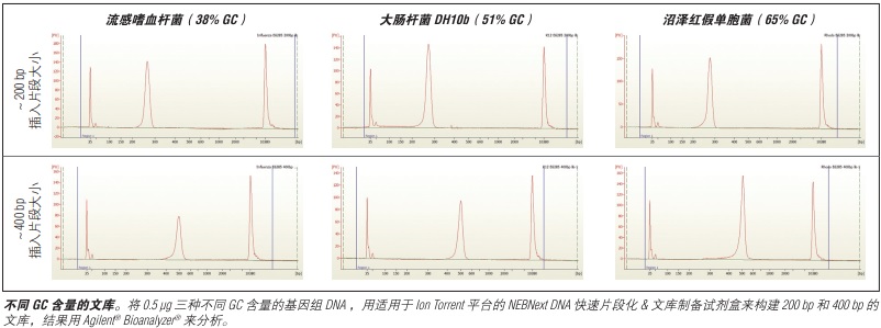 NEBNext DNA 快速片段化 & 文库制备试剂盒-Ion Torrent--NEB