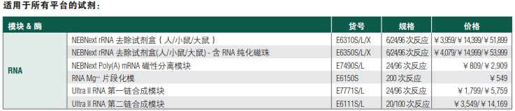 NEBNext Ultra II RNA 第二链合成模块--NEB