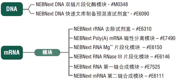 NEBNext DNA 文库制备预混液试剂盒 - 454(停产)--NEB