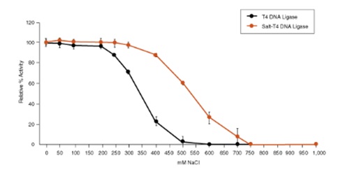 Salt-T4™ 耐盐 DNA 连接酶--NEB