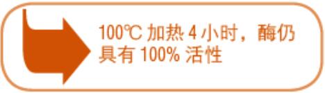 热稳定无机焦磷酸酶--NEB