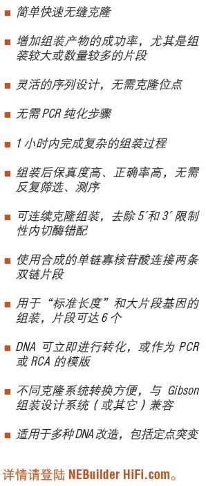 NEBuilder® 高保真 DNA 组装预混液--NEB