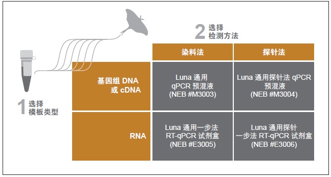 Luna 通用探针法 qPCR 预混液--NEB