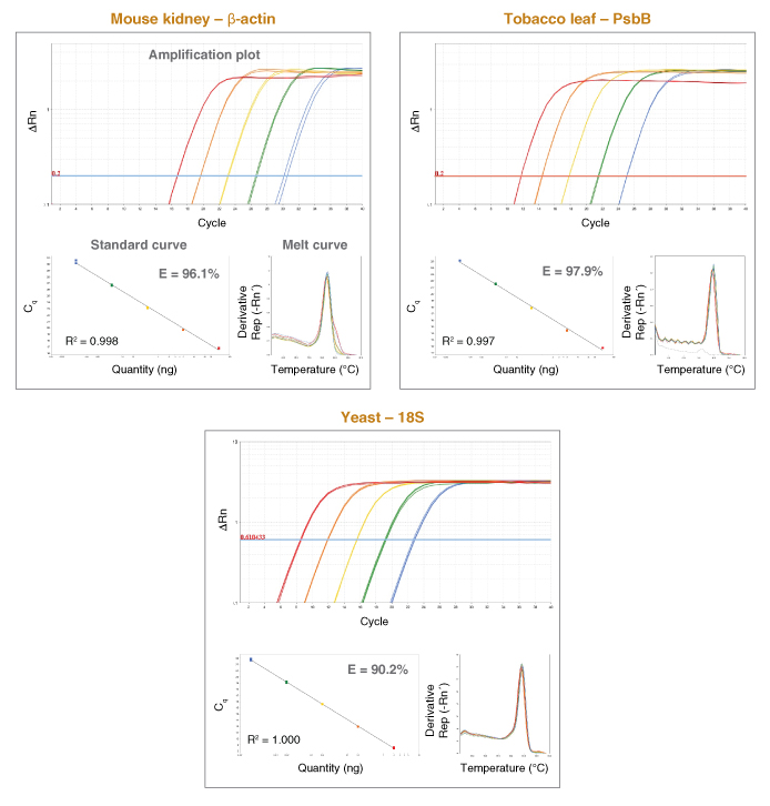 Luna® 通用 qPCR 预混液--NEB