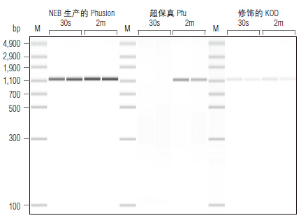 Phusion® 超保真 PCR 预混液( 提供 GC 缓冲液 )--NEB