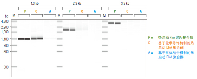 Phusion® 超保真 PCR 预混液( 提供 GC 缓冲液 )--NEB