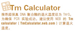Phusion® 超保真 PCR 预混液( 提供 GC 缓冲液 )--NEB