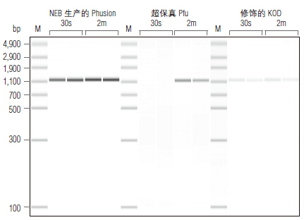 Phusion® 超保真 PCR 预混液( 提供 HF 缓冲液 )--NEB