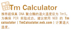 Phusion® 超保真 PCR 预混液( 提供 HF 缓冲液 )--NEB