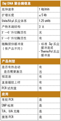 Taq 热启动 2X 预混液--NEB