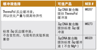 Taq 热启动 2X 预混液--NEB