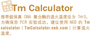 Q5® 热启动超保真 2X 预混液--NEB