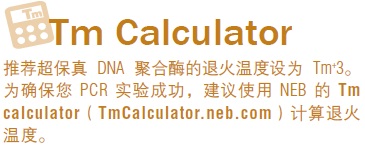 Q5® 热启动超保真 DNA 聚合酶--NEB