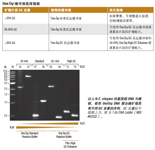 OneTaq 2X 预混液（提供标准缓冲液）--NEB