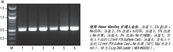 血源扩增 Hemo KlenTaq®--NEB
