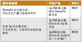 Taq DNA 聚合酶（提供标准 Taq 缓冲液）--NEB