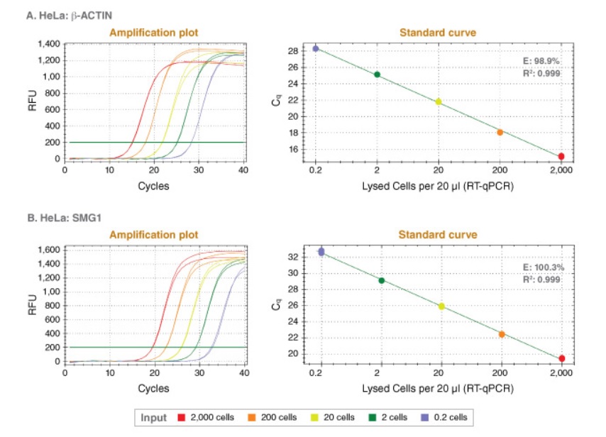 Luna Cell Ready染料一步法 RT-qPCR 试剂盒--NEB