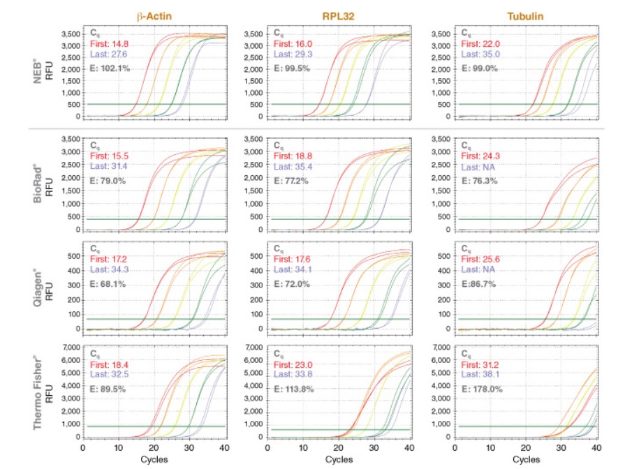 Luna Cell Ready染料一步法 RT-qPCR 试剂盒--NEB