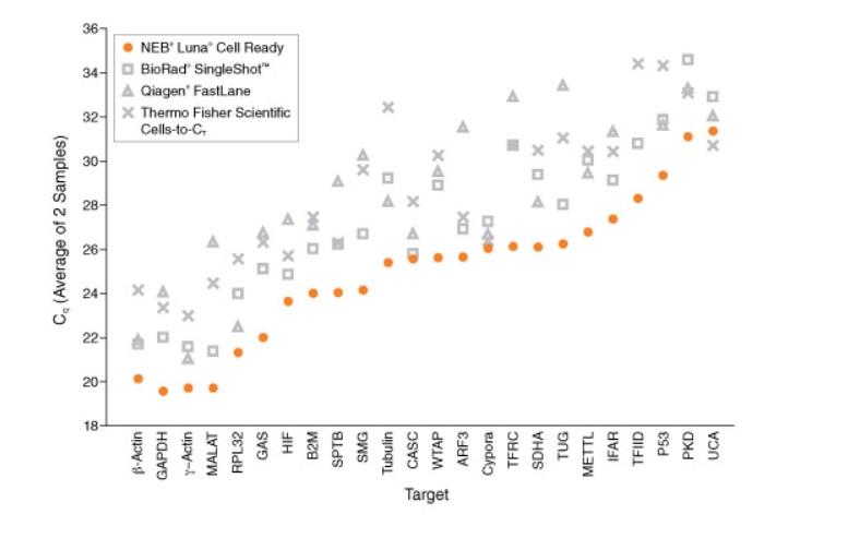 Luna Cell Ready染料一步法 RT-qPCR 试剂盒--NEB