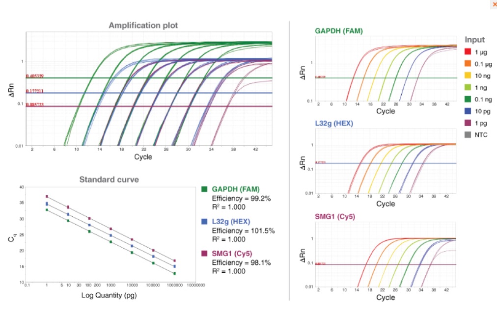Luna 通用探针一步法 RT-qPCR 试剂盒（无 ROX）--NEB